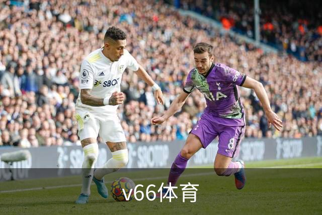 v66体育公司介绍